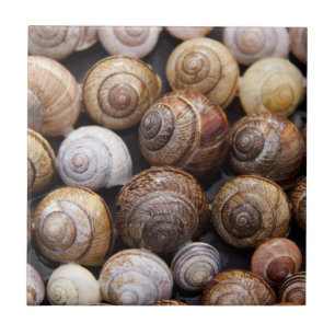 Azulejo Estanques de caracol