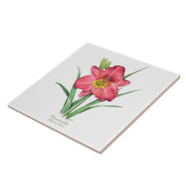 Azulejo Estilo de Arte Botánico de Daylily Rojo