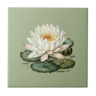 Azulejo Estilo Naturaleza Agua Lily Cerámica Tile