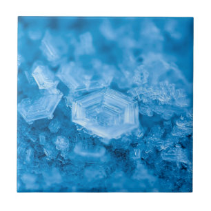 Azulejo Estilo Sofisticado: Elegancia Colección de mosaico