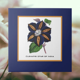 Azulejo Estrella Clematis del Ilustracion Botánico de la I