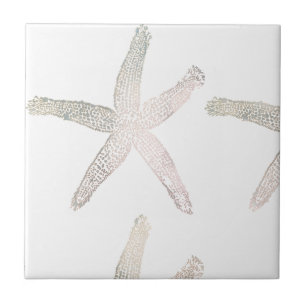 Azulejo Estrella de mar Costero Playa Gris Gris Blanco Ten
