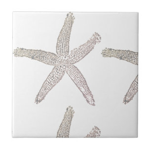 Azulejo Estrella de mar Playa Gris Grises Blanco Beige Reg