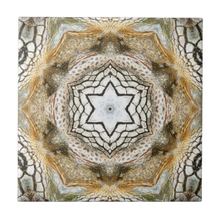 Azulejo Estrella dorada Naturaleza geométrica Tile cerámic