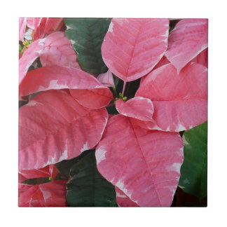 Azulejo Estrella plateada de mármol Poinsettias Flor de va