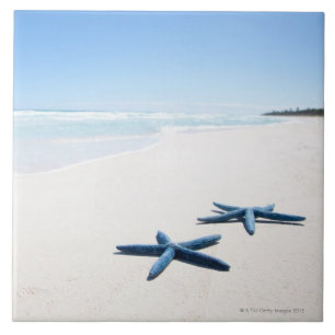 Azulejo Estrellas de mar azules