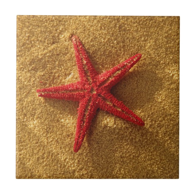 Azulejo estrellas de mar rojas (Frente)
