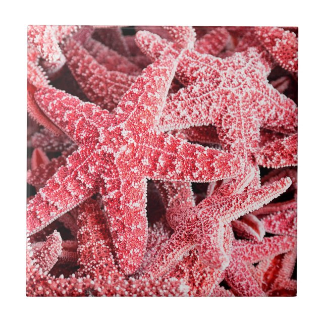 Azulejo Estrellas de mar rosadas tropicales (Frente)