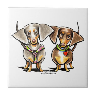 Azulejo Estrellazo de Dachshunds Dappled