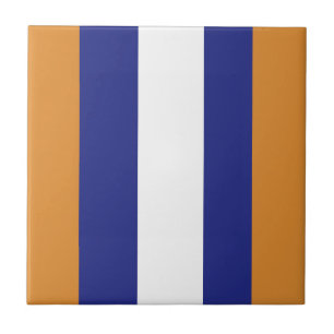 Azulejo Estribos marrones, azules y blancos