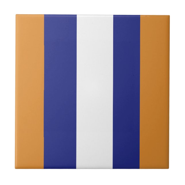 Azulejo Estribos marrones, azules y blancos (Frente)