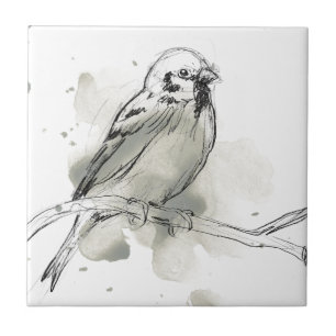 Azulejo Estudio Gestural de Aves