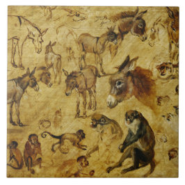 Azulejo Estudios de animales: burros, monos, gatos y perro