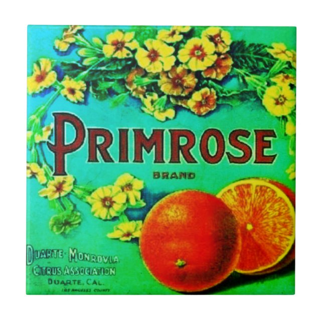 Azulejo Etiqueta publicitaria de naranja de frutas de époc (Frente)