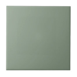 Azulejo Eucalyptus Green | #8A9C88