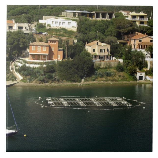 Azulejo Europa, España, Menorca. Pescado (Frente)