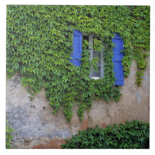Azulejo Europa, Francia, Lourmarin. Hiedra en cascada