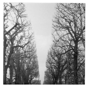 Azulejo Europa, Francia, París. Árboles de invierno, Mar