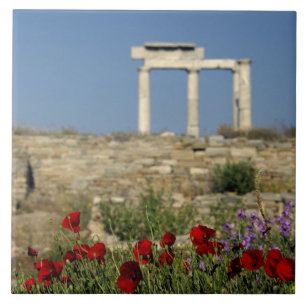 Azulejo Europa, Grecia, Cícladas, Delos. Ruinas de column