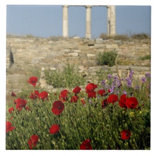 Azulejo Europa, Grecia, Cícladas, Delos. Ruinas de columna