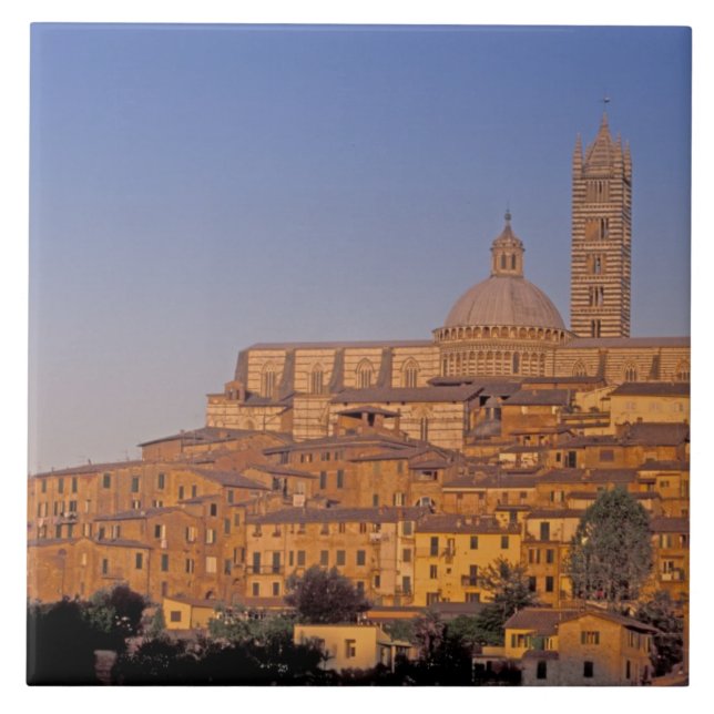 Azulejo Europa, Italia, Toscana, Siena. siglo XIII 3 (Frente)