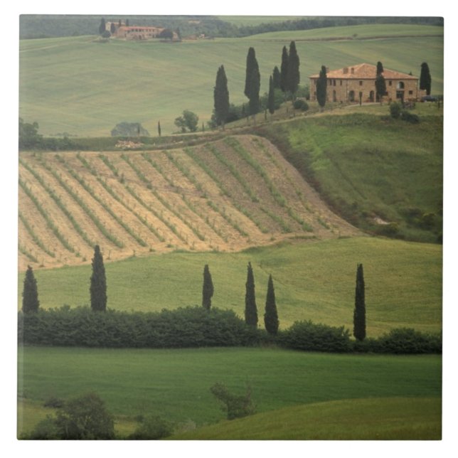 Azulejo Europa, Italia, Toscana, Val d'Orcia, Toscana (Frente)