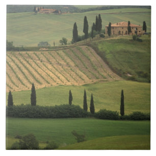 Azulejo Europa, Italia, Toscana, Val d'Orcia, Toscano