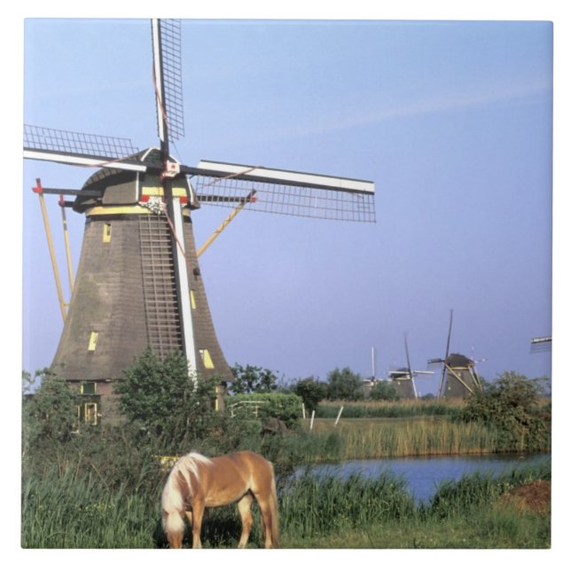Azulejo Europa, Países Bajos, Zuid Holland, Kinderdijk.2 (Frente)