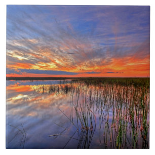 Azulejo Everglades Coloridos, Florida,