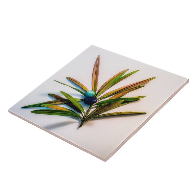 Azulejo Evergreen Sprig con Berries Tile (Lado)