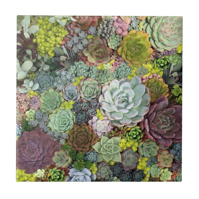 Azulejo Éxitos verdes (Frente)
