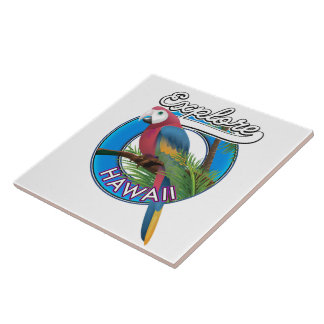 Azulejo Explorar el logotipo retro de Hawaii
