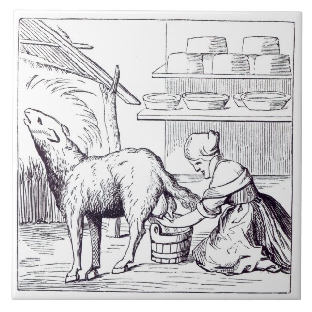 Azulejo Fabricación de quesos en Suiza, después de un (Frente)