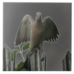 Azulejo Fallen Angel Dove Tile