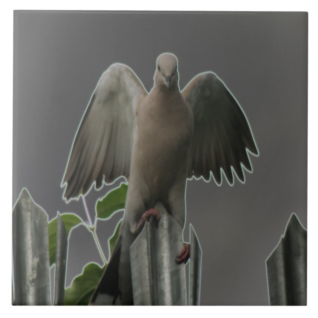 Azulejo Fallen Angel Dove Tile (Frente)