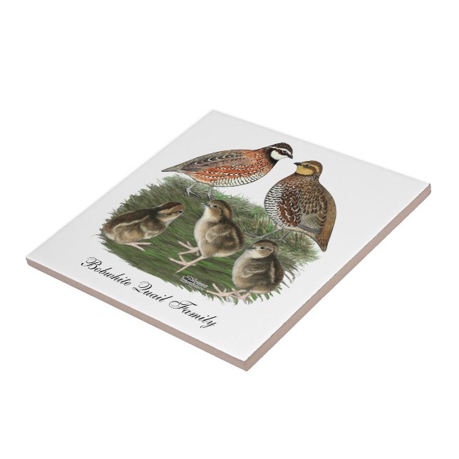Azulejo Familia Bobwhite Quail (Lado)