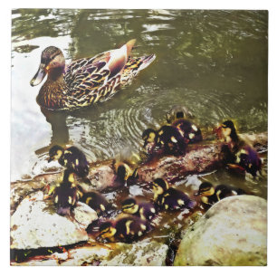 Azulejo Familia de patos