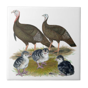 Azulejo Familia de pavos salvajes del este