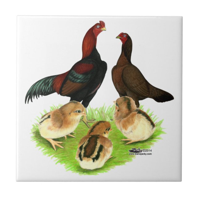 Azulejo Familia de pollos Aseel Black Red (Frente)