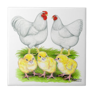 Azulejo Familia de Pollos Blancos Wyandotte