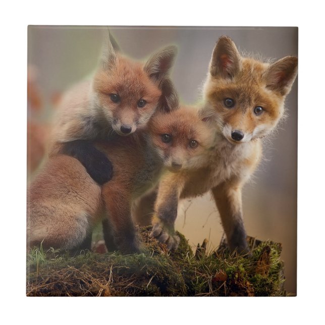 Azulejo Familia linda del Fox (Frente)