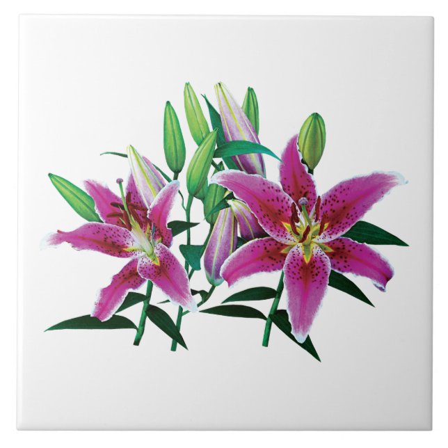 Azulejo Familia Stargazer Lily (Frente)