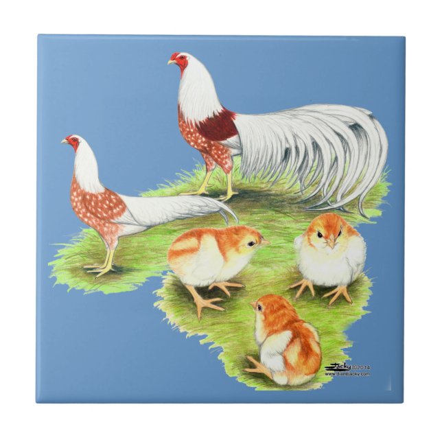 Azulejo Familia Yokohama Red Shoulder (Frente)