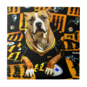 Azulejo Fanático de Pitbull Rescue Dog