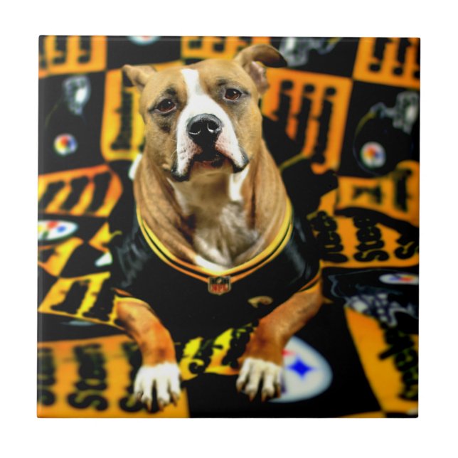 Azulejo Fanático de Pitbull Rescue Dog (Frente)