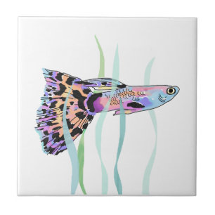 Azulejo Fancy Guppy Tile