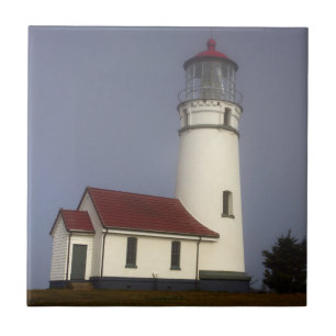 Azulejo Faro, Cabo Blanco, Parque Estatal Cape Blanco