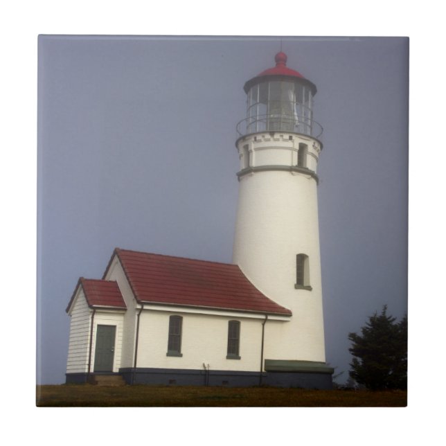 Azulejo Faro, Cabo Blanco, Parque Estatal Cape Blanco (Frente)