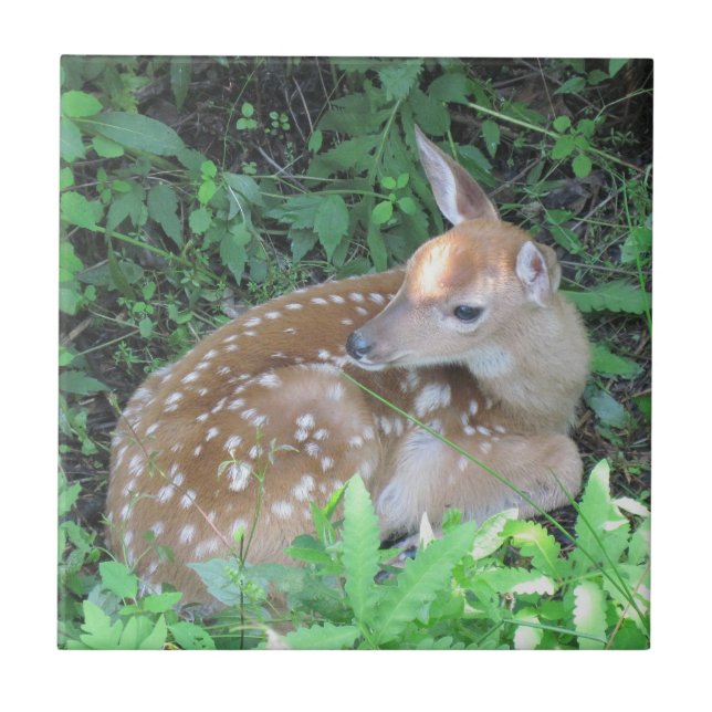 Azulejo Fawn Trivet (Frente)