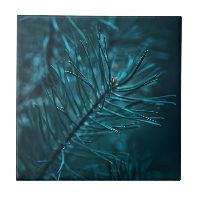 Azulejo Felices Fiestas Verde Pine Fir Tree (Frente)